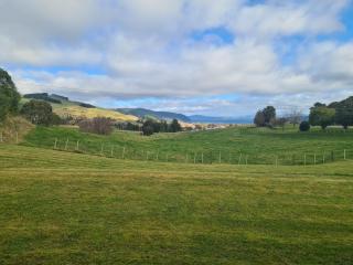 Rural and Lake Views - Kinloch - 8