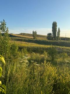 Eco Aura (RestZone) - 9