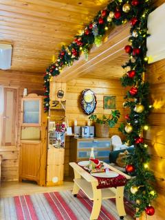 Countryside riverside cabin for both winter and summer - 1