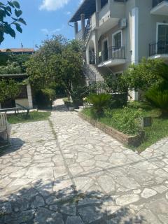 charieta n.7 - 8