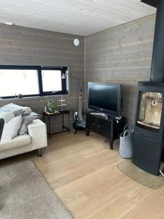 Luxurious family cabin close to Trolltunga, Odda - Utsikten - 4