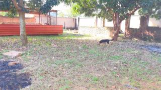 Serene Home in Morogoro - 6