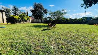 Serene Home in Morogoro - 3