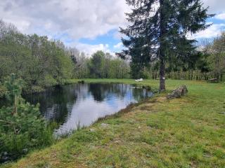 chalet au cœur des bois - 1