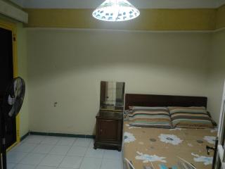 زهراء الهانوفيل العجمي - 4