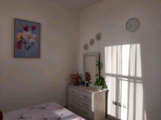 Placid Rentals - Dubai - 7
