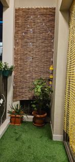Placid Rentals - 3