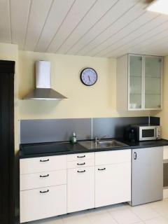 Schönes Studio mit Küche, frisch renoviert - Walsheim - 3