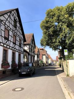 Schönes Studio mit Küche, frisch renoviert - Walsheim - 2