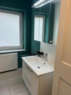 Schönes Studio mit Küche, frisch renoviert - Walsheim - 4