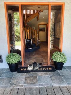 Moonlight Escape Lodge - Queenstown - 4