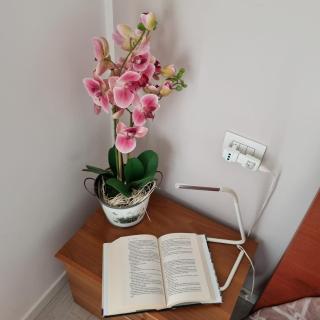 Ca' Massima, il cuore a Monza - 2