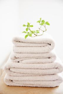 La Dominotte short stay apartment 9b - Arcen - 3