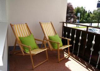 Winternest - Winterberg - 1