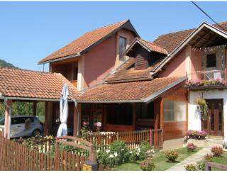 Guesthouse Tadic - Guča - 9