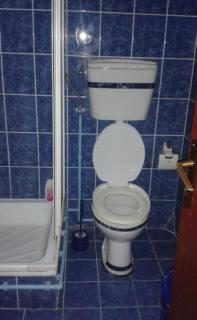 Guesthouse Peace - 6