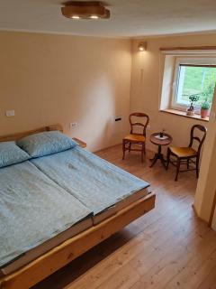 Riverdance with mountain view, garden and private parking - Bled - 9