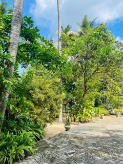 Krishan Villa - Negombo - 3