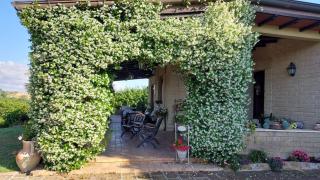 Il Casale Del Sogno - Ardea - 0