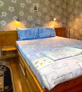 The House of Petar Levski - Berkovica - 2