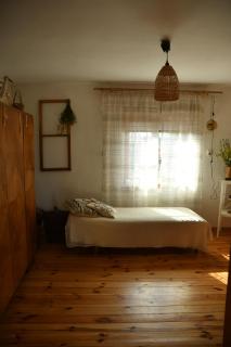 Lipowe siedlisko - 2