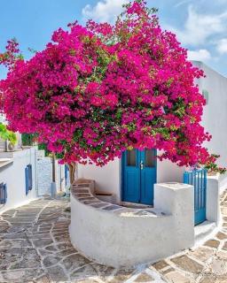 Sandy,s house - Lefkes - 2