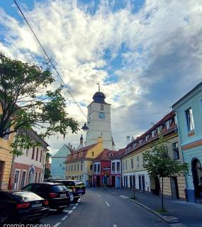 Marian House - Sibiu - 8