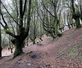 Olazabal Azpikoa - Axpe - 8