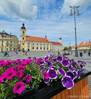 Naty's Place! - Sibiu - 5