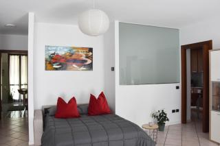 ZARA HOUSE - Lake and Pet Friendly - Brusimpiano - 1
