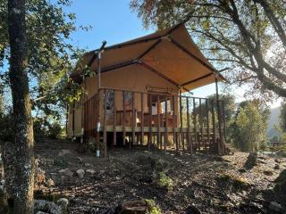 Lodge A NASSA - Olivese - 3