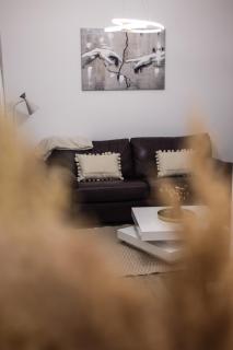 Apartman Jelena II - Banja Koviljača - 6