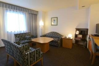 Blossom Hotel Hirosaki - Hirosaki - 8