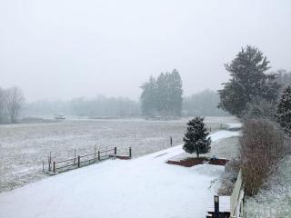 Cascina in Alto Piemonte / Piedmont countryhouse - 5