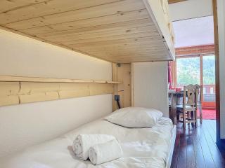 Proche pistes et commerces · Balcon · WiFi inclus - FR-1-688-77 - 1