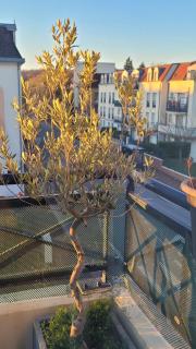 Duplex Art Place, Olympics 2024 - Les Clayes-sous-Bois - 4