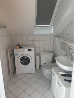 Werner - Homburg - 2