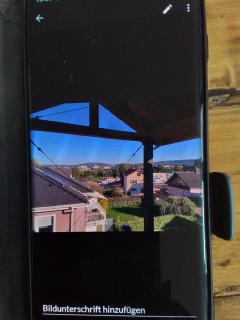 Werner - Homburg - 1