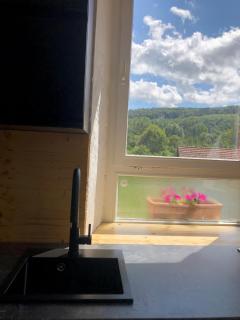 Ferienapartment im Lautertal - - 5