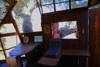 Tree house da Lage - São Luis - 5