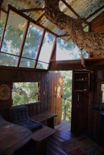 Tree house da Lage - São Luis - 3