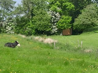 Tiny house au bord de l eau - 7