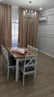 Apartments Jer Ana on Nazarbayeva 235b - 7