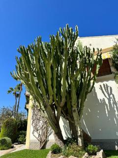 El Rincon Vera Costa - 4