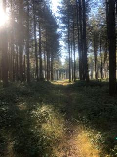 Nightingale Lodge - Adults Only - 7