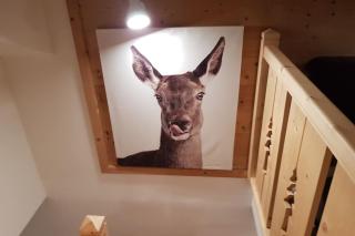Duplex dans chalet, vue de rêve, 6 pers, 2 nuits minimum - La Bresse - 7