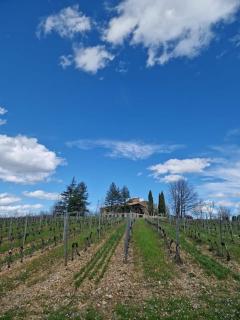 Les Hauts de Courrech - Grézels - 2