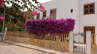 Villa Ipomea - San Vito lo Capo - 0