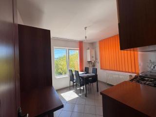 Casa Alexana - Gura Humorului - 2