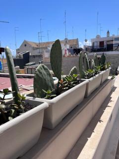 Casa Franca - Terracielo a Bari Vecchia - 7